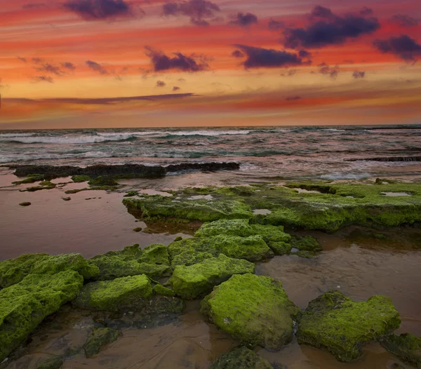 Szene bei Sonnenuntergang am Strand in Mosambik lizenzfreie Stockbilder