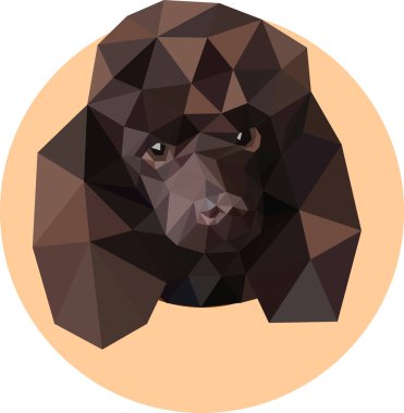 Bir çokgen tarzda sevimli fino köpeği. Tren moda çizimi