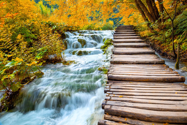 Scenic waterfalls and wooden path -  Fall season