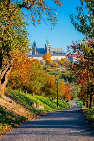 Zonnige dag in Praag park, kleurrijke herfst seizoen — Stockfoto