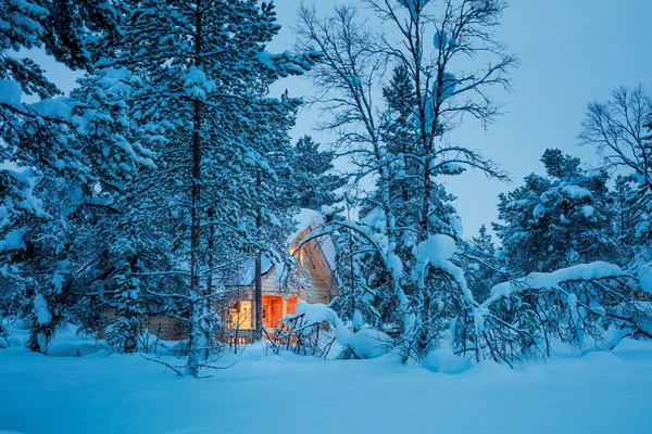 Winter fairy night - wooden house in blue snowy forest — Stock Photo, Image