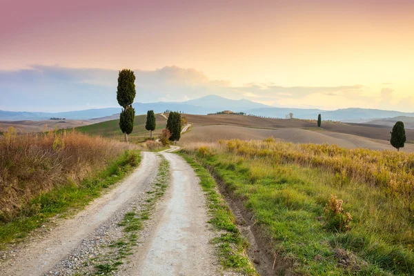 Landscape at sundown time - ground road and beautiful cypresses — Stock fotografie