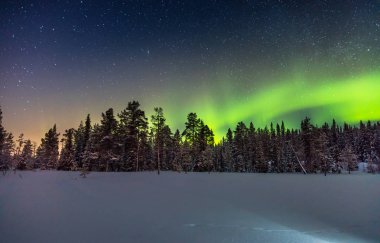 Gerçek Kuzey ışıkları ya da Aurora borealis karlı orman yukarıda