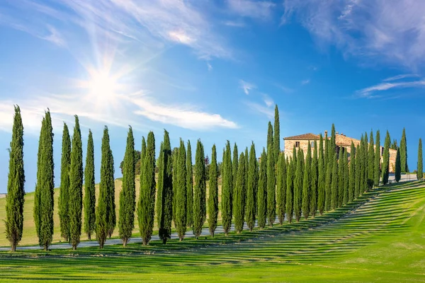 Sunny landscape background of Tuscany countryside — Stock Photo, Image