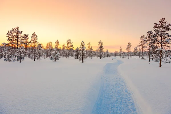 Atardecer en invierno bosque nevado, hermoso paisaje —  Fotos de Stock
