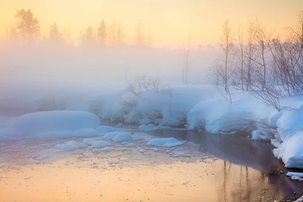 Atardecer suave invierno en el bosque y el río con niebla brumosa — Foto de Stock