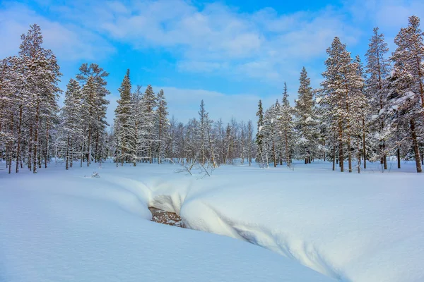 Paisagem bela floresta de inverno com grande neve — Fotografia de Stock