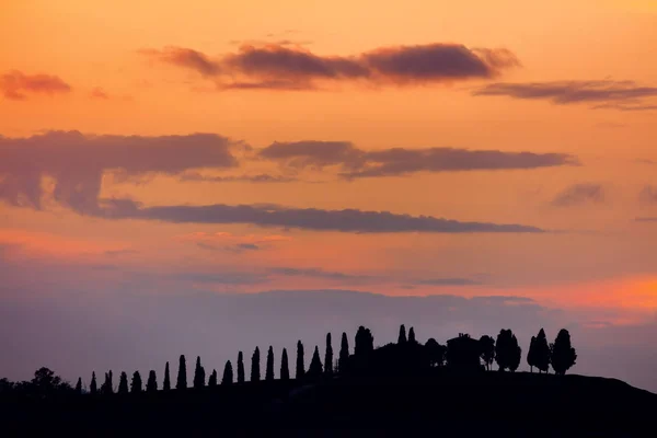 Echte Toscane Sundown silhouetten landschap — Stockfoto