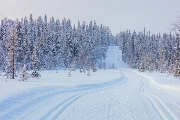 Skiën parcours in prachtige winterlandschap — Stockfoto