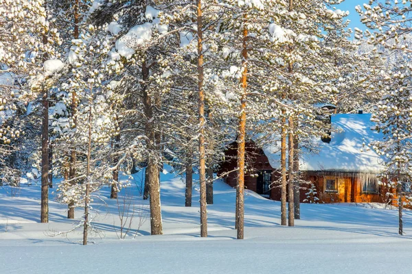 Природа Северного Зимнего леса с деревянным домом — стоковое фото