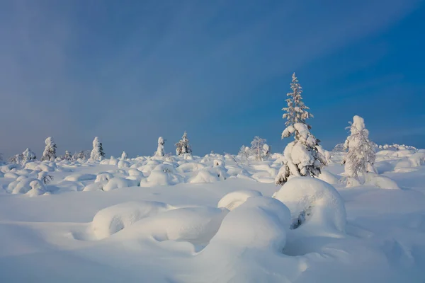 Северный зимний пейзаж - красивая полярная природа — стоковое фото