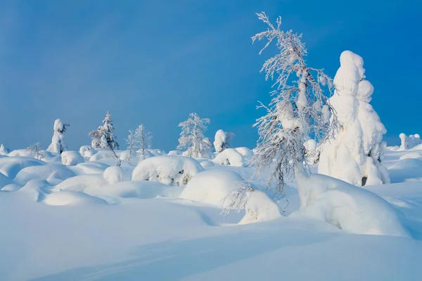 Paisagem de inverno de fadas — Fotografia de Stock