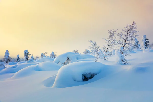 Invierno suave Antecedentes de la naturaleza del norte al amanecer —  Fotos de Stock