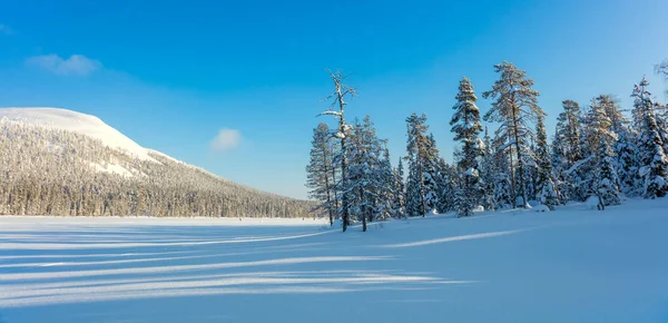Güneşli panoramik manzara Kuzey Kış Doğa ve — Stok fotoğraf
