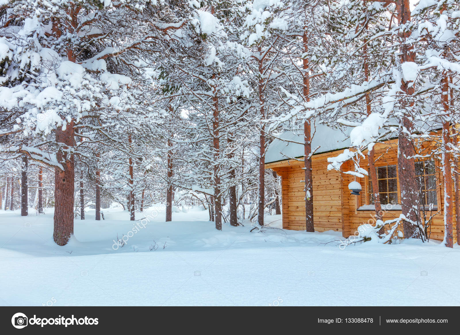 Kış orman manzara ile küçük ahşap ev Stok fotoğrafçılık ©a_taiga