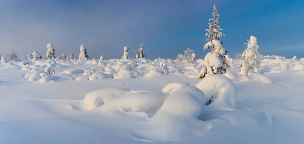 북부 겨울 자연의 멋진 파노라마 풍경 — 스톡 사진