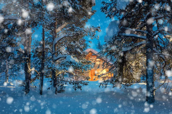 Casă caldă în pădurea de iarnă de noapte cu zăpadă — Fotografie, imagine de stoc