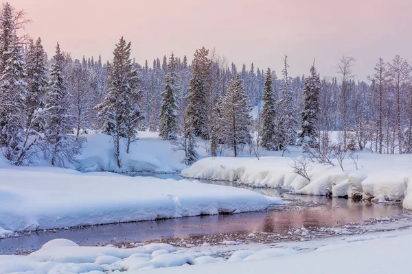 Зимовий вечірній пейзаж з лісом і лісом — стокове фото