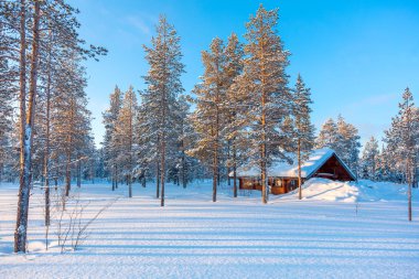 Kışın karlı manzara ormanıyla küçük ahşap lodge