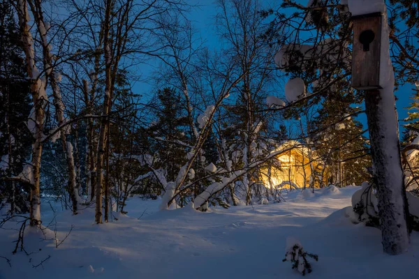Χειμερινή νύχτα μπλε τοπίο, ζεστό ξύλινο σπίτι — Φωτογραφία Αρχείου