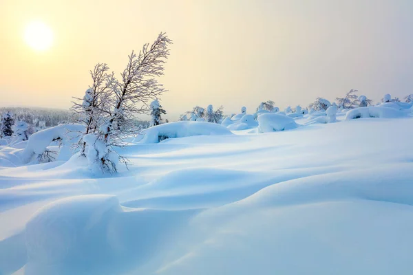 Großer Schnee nördlichen Winter Sonnenuntergang Landschaft — Stockfoto