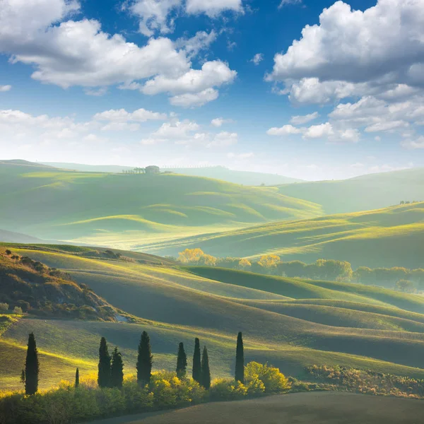 Färska gröna Toscana landskap — Stockfoto