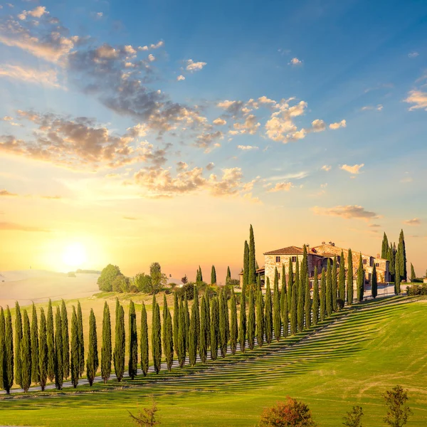 Tuscany at sundown - countryside road with trees and house — Stock Photo, Image