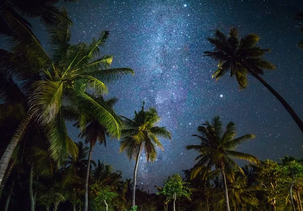 Foto nocturna con palmeras y vía láctea en el fondo — Foto de Stock