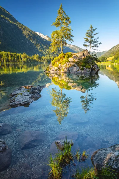 Sonnige Morgenkulisse Hintersee Schöne Szene Von Bäumen Auf Felsigen Insel — Stockfoto