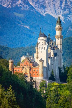 Beautiful view of world-famous Neuschwanstein Castle, the nineteenth-century Romanesque Revival palace built for King Ludwig II on a rugged cliff near Fussen, southwest Bavaria, Germany clipart