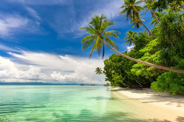 Tropikal Plajın Cennet Manzarası Sakin Okyanus Dalgaları Palmiye Ağaçları Beyaz — Stok fotoğraf