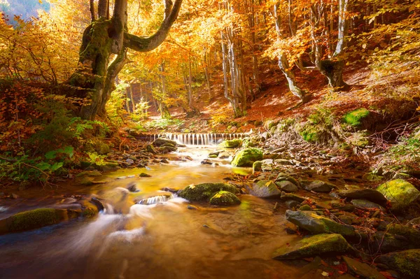 Outono Paisagem Pequenas Montanhas Rio Árvores Amarelas Floresta Cores Natureza — Fotografia de Stock