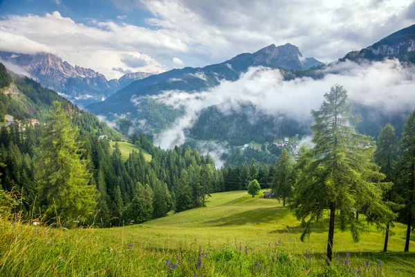Sonnige Gebirgslandschaft Mit Großen Dolomitengipfeln Mit Blauem Himmel Und Grastal — Stockfoto