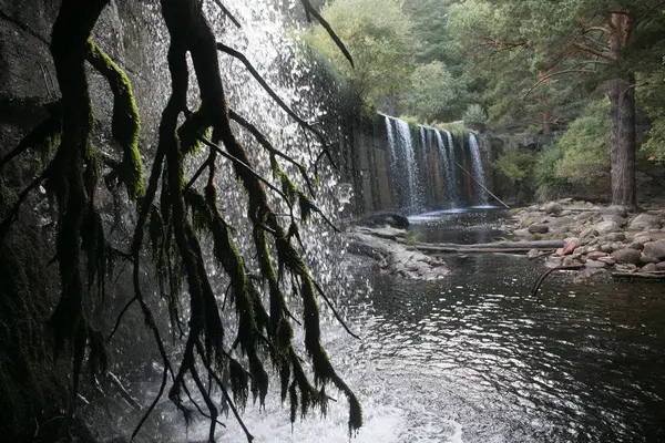 Cascada en el bosque — Foto de Stock