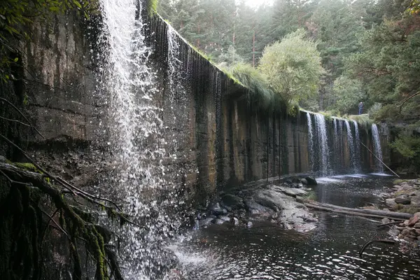 Cascada en el bosque — Foto de Stock