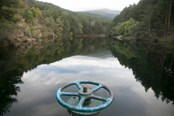 Stopcock en un bosque lago —  Fotos de Stock