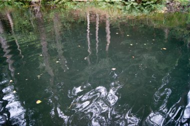 Güzel nehir manzarası