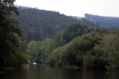 Güzel nehir manzarası
