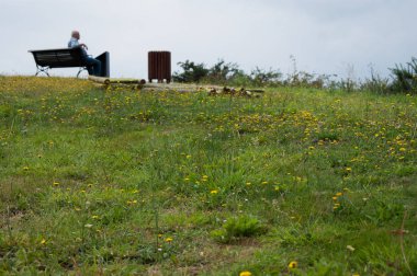 Nehir ve nehir kıyısı 