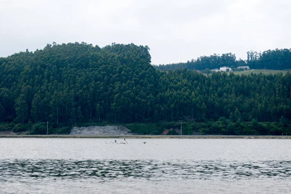 Bela paisagem fluvial — Fotografia de Stock