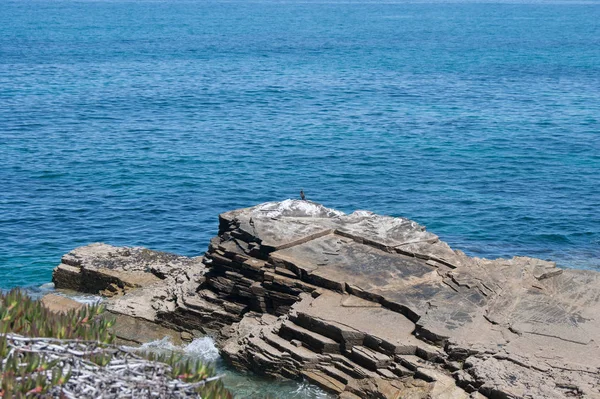 Пляж острова в Галисии — стоковое фото
