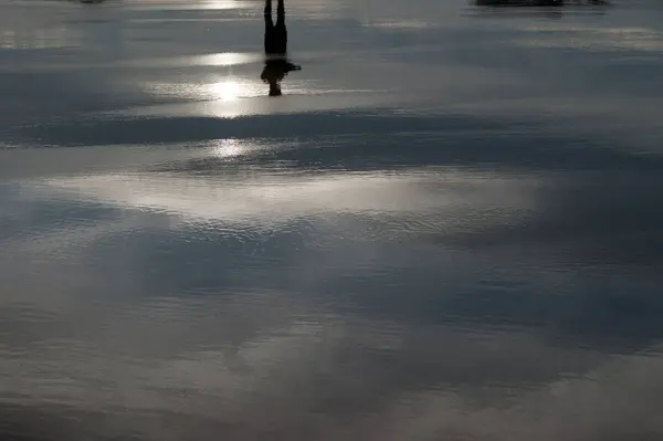 Réflexion de l'eau sur la plage — Photo