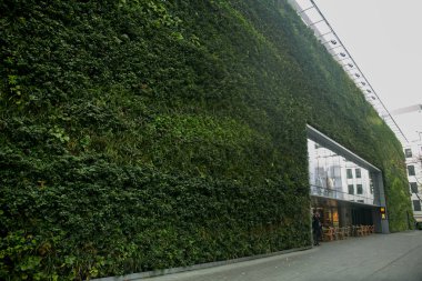 Londra'da dikey bahçe