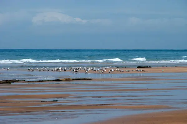 Playa de arena en el mar atlántico — Foto de Stock