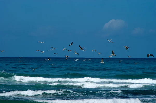 Playa de arena en el mar atlántico — Foto de Stock