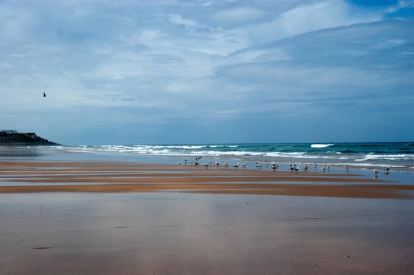 대서양 바다에서 모래 해변 — 스톡 사진