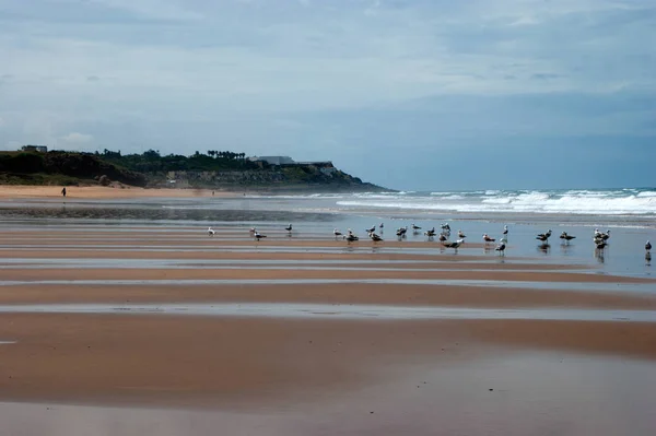 Písečná pláž v Atlantského moře — Stock fotografie