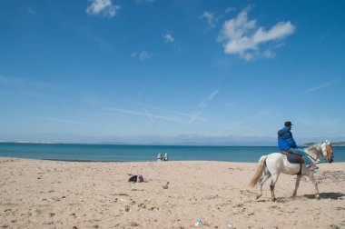 atları Tanca'da Beach