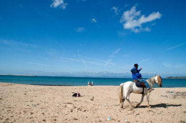 atları Tanca'da Beach