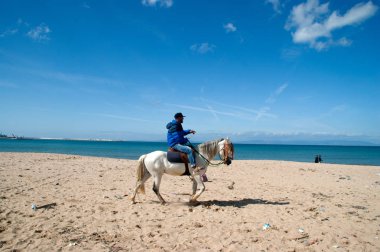atları Tanca'da Beach